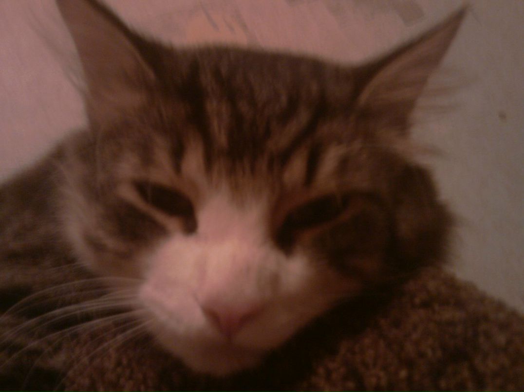 Михаил Филиппов фотография #42