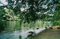 Bug Report фотография #15 (источник - https://vk.com/id2490637)