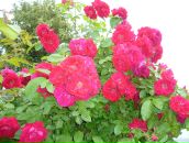 Фотография Пытиной Виктории