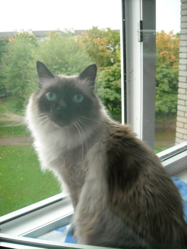 Иван Данилин фотография #40