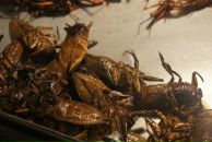 Антон Райский фотография #26 (источник - https://vk.com/id996340)