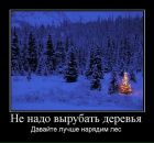 Дима Катаев фотография #21 (источник - https://vk.com/id12897255)