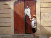 Фотография Володарской Ирины