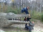 Фотография  