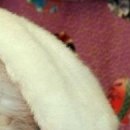 Міша Якимчук фотография #37 (источник - https://vk.com/id155178981)