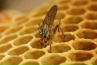 Віктор Якубовський фотография #24 (источник - https://vk.com/id8578390)