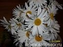 Фотография Лапыниной Ирины