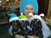 Фотография  