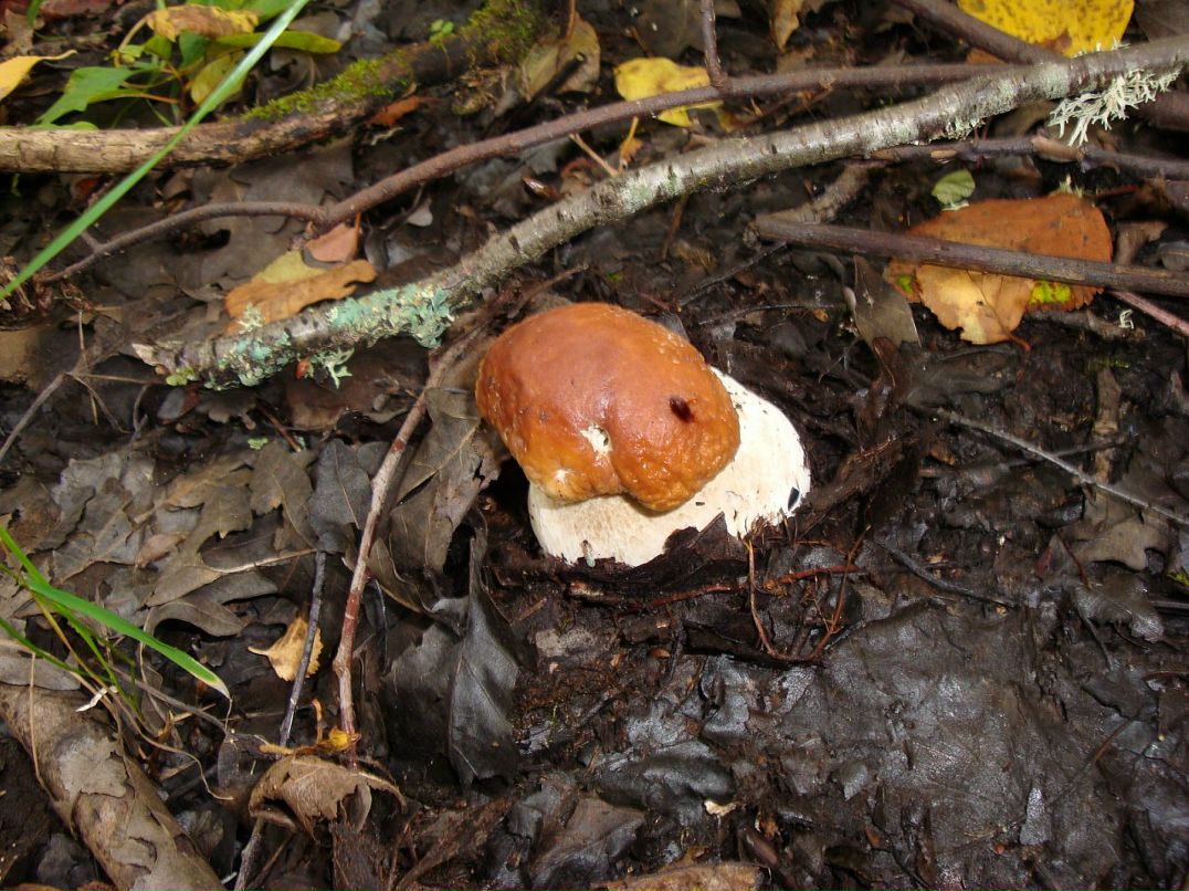 Эмма Кубло фотография #49