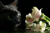 Фотография Филяевой Галины