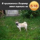 Фотография Смокотова Дмитрия