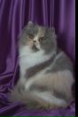 Лухтанов Сергій фотография #1