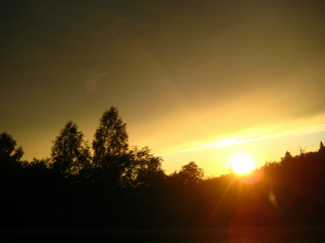 Дмитрий Линьков фотография #34