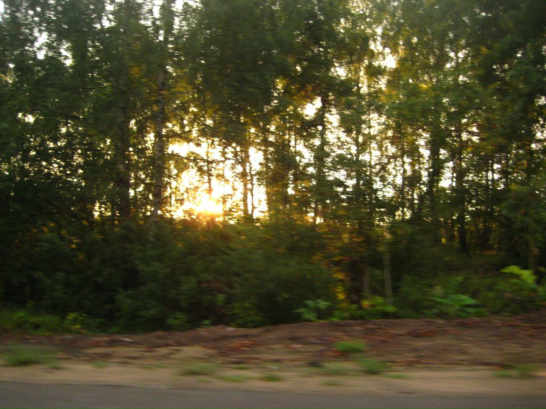 Дмитрий Линьков фотография #50