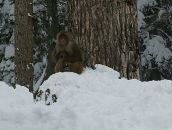 Вадік Ковальський фотография #6 (источник - https://vk.com/id89878773)