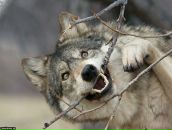 Фотография Котеченковой Маргариты