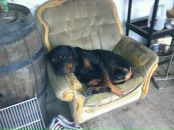 Misha Makarenko фотография #50 (источник - https://vk.com/id71938264)