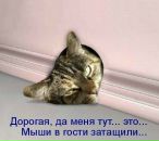 Діма Мулярець фотография #46 (источник - https://vk.com/id68353152)