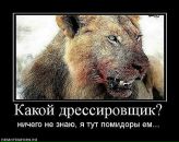 Igorko Sema фотография #38 (источник - https://vk.com/id20006038)