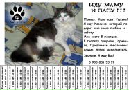 Фотография Lobachev Andrey