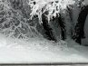 Вєталь Пелехатий фотография #36 (источник - https://vk.com/id167759590)
