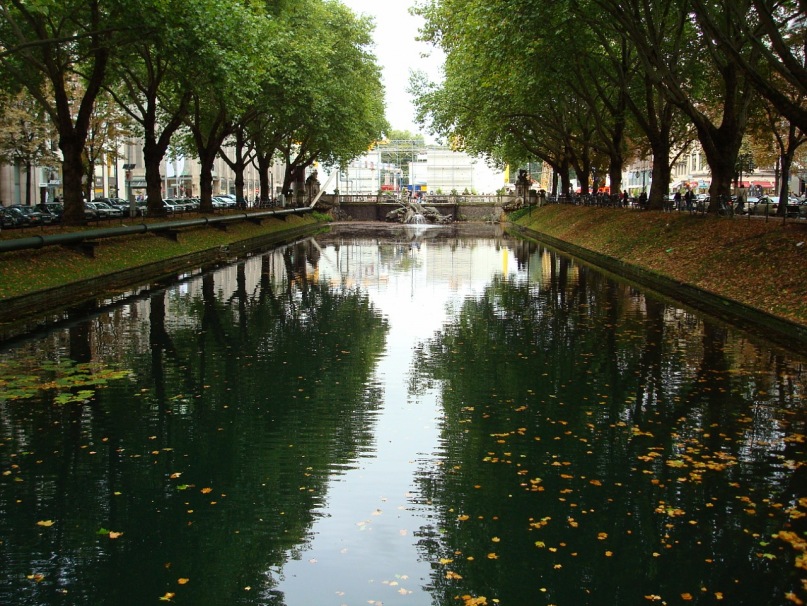 Inga Data фотография #10