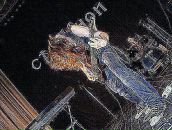 Фотография Истомирова Томка