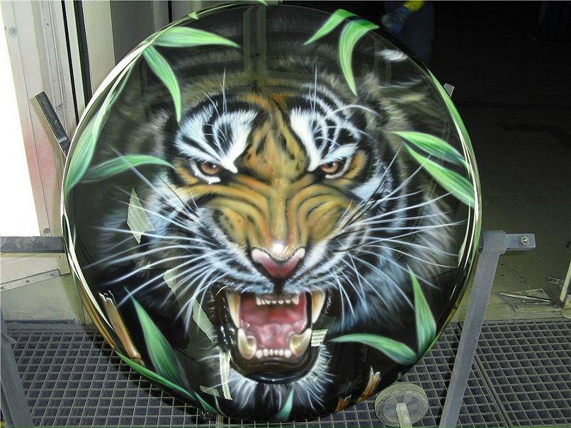 Виктор Шамаев фотография #11