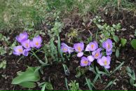 Марія Карпінська фотография #8 (источник - https://vk.com/id11737031)