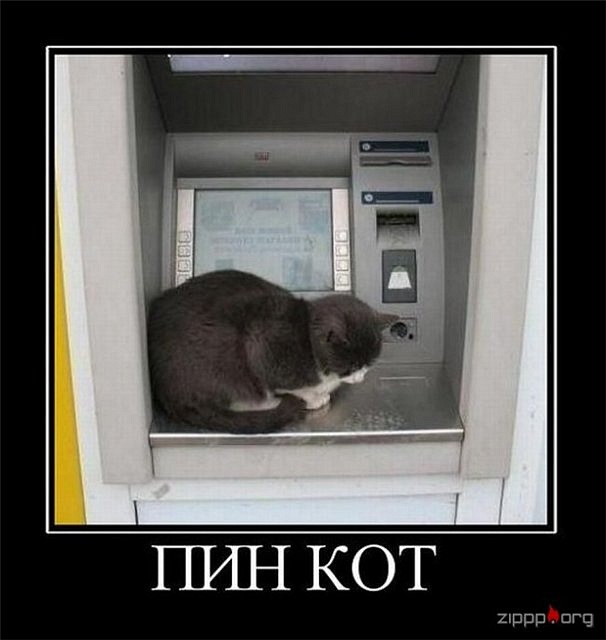 Андрій Сидлярук фотография #10