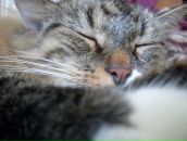 Фотография Жадинской Полины