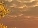 Ник_1 Фам фотография #32 (источник - https://vk.com/id116844981)