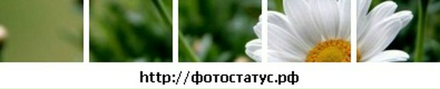 Оленка Стеців фотография #3 (источник - https://vk.com/id97349792)