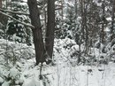 Василинка Бігун фотография #25 (источник - https://vk.com/id114353675)