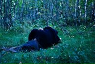 Фотография Бортниковой Анютки