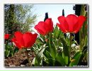 Фотография Гульнара Гуль-гуль