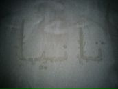 Tanya Ashikhmina фотография #12 (источник - https://vk.com/id8914107)