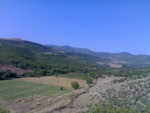 Нариман Дадашев фото №1