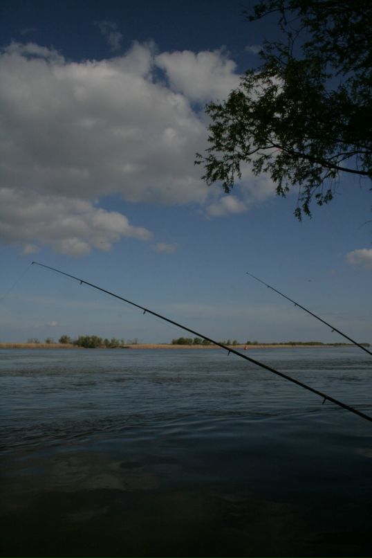 Борис Елисеев фотография #17