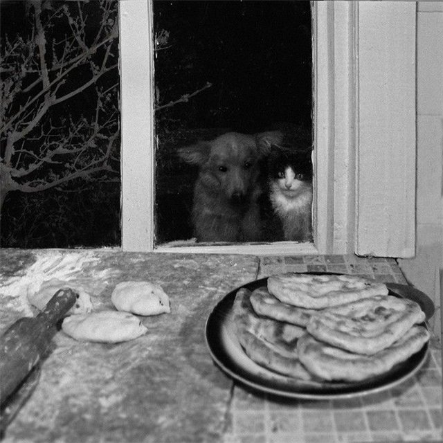 Сергей М фотография #18