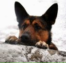 Виктор Сергеев фотография #40 (источник - https://vk.com/id32081303)