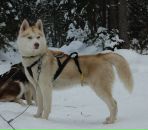 Дима Пилипчук фотография #31 (источник - https://vk.com/id20813129)