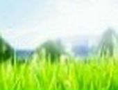 Вероніка Федишин фотография #8 (источник - https://vk.com/id45959990)