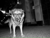 Фотография Богдановой Лены