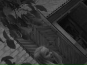 Юля Шатіліна фотография #38 (источник - https://vk.com/id68361786)