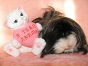 Фотография Комяковой Валерии