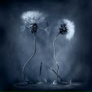 Фотография Трухановой Ульяны