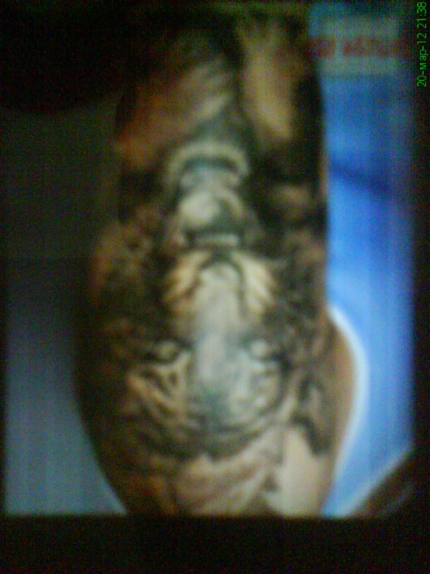 Дмитрий Казак фотография #15