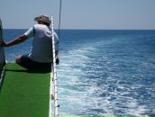 Фотография Сафонова Дмитрия