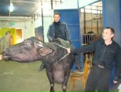 Фотография Кузьмина Константина